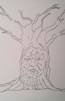 Grandmother Tree
